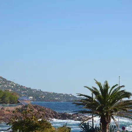 House With Your Feet In The Water, Between Forest And - Agay Daire *